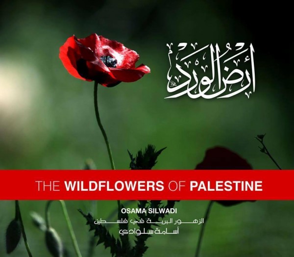  المصور أسامة السلوادي يوثق 2700 صورة لأزهار فلسطين في أرض الورد